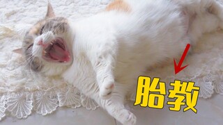 Ever since our female cat got pregnant, my husband has been obsessed with prenatal education as if h