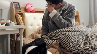 Reaksi putus asa pemilik anjing setelah Tahun Baru Imlek