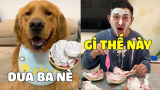 Đa Đa Tinh Quái | ĐA ĐA Làm Dưa BONG BÓNG Troll PAPA Và Cái Kết 🤣 Gâu Đần Official