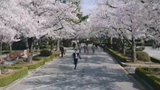 Doctor stranger, edit part1