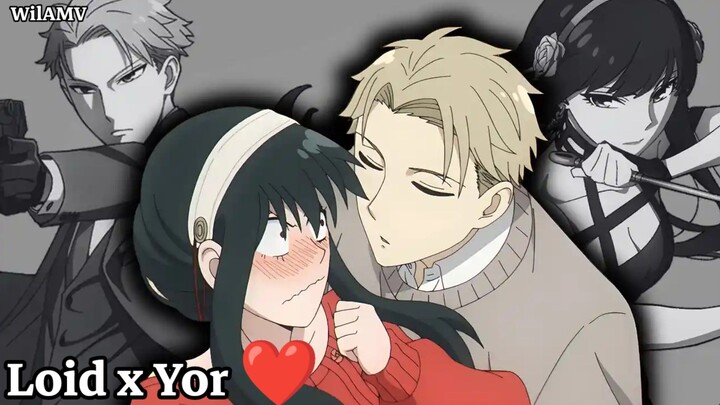Loid x Yor ❤️|Spy x Family|