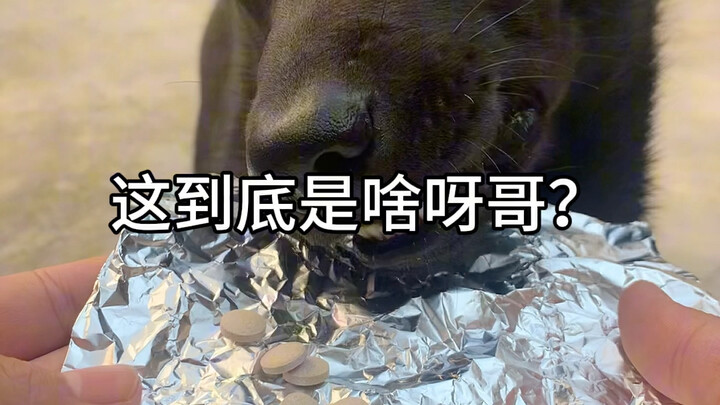 เร็วๆ! นี่แหละของที่ว่า ถ้าวันไหนไม่ได้กินรู้สึกไม่สบายตัวไปทั้งตัวเลย!