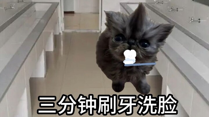 Tiềm năng của Mèo Mèo bị nhà trường ép phải bộc lộ