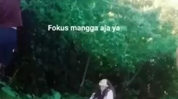 akhirnya panen mangga 😂