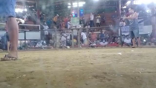 tagalog daw may partida p kanan tari.