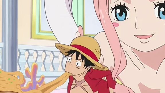 buset luffy