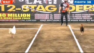 J28 FBJ RED ARC VS KID MOLAVE JADE