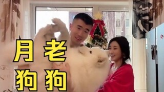 Ini adalah anjing yang membantu tukang sekop kotoran menemukan istri