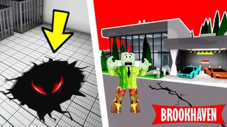 0 001% Heeft Dit Gezien In Brookhaven RP!🏡