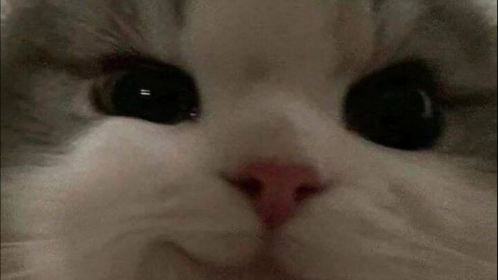 “Wear mine, wear my new outfit!” ƪ(˘⌣˘)ʃ