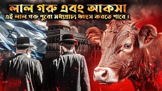 ২০২৪ সালে কি সত্যিই আল-আকসা মসজিদ ধ্বংস করা হবে?