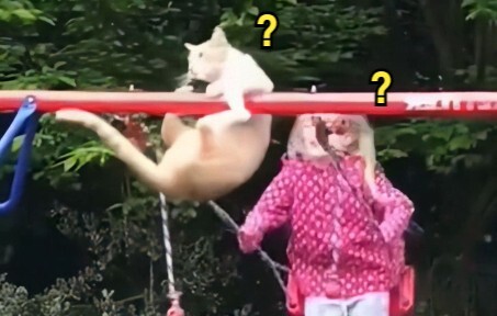 "Di Mana Hewan Aneh Itu?" 142