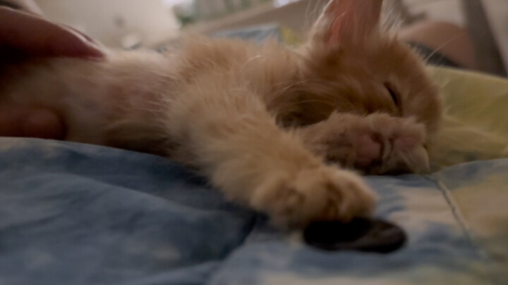 Huzi, my baby, sweet dreams.