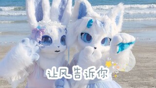 【fursuit dance】福瑞与海的故事，让风告诉你