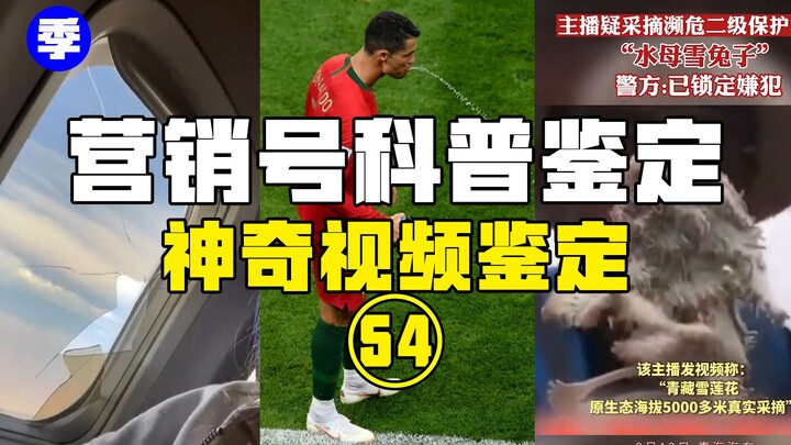 【鉴定热门】又来？网红直播薅国家二级保护植物！飞机在天上窗户破了怎么办？