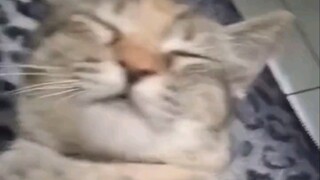 Awakened, time to hunt