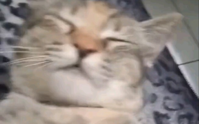 Đã thức tỉnh, thời khắc săn mồi