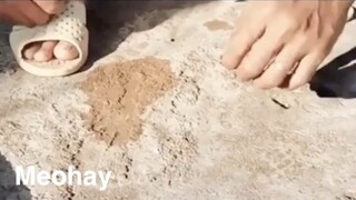 Mẹo hay : Dùng bugi xe máy cắt mọi thứ P2