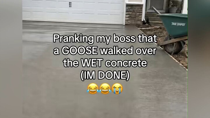 cantina prank