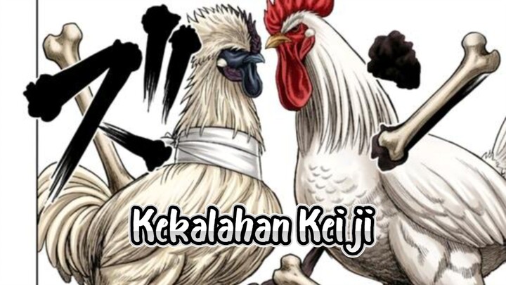 Pertarungan Keiji Vs Keisuke | Niwatori Fighter