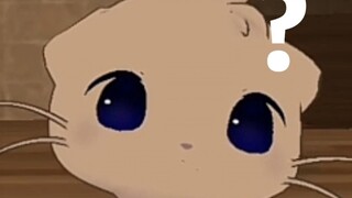 【奏kanade/自切】Scandal cat or seal cat?