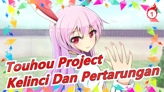 [Touhou Project/MAD Gambaran Tangan] Kelinci Dan Pertarungan, Sangat Direkomendasikan_1