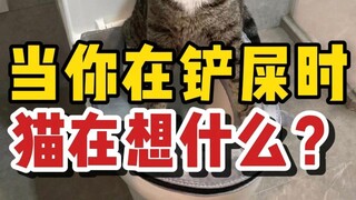 What is your cat thinking when you are cleaning its poop?