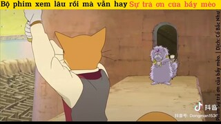 Sự trả ơn của bầy mèo