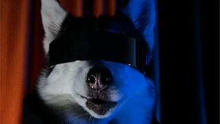 في العام الجديد، أتمنى لكم جميعًا تحقيق أمانيكم والعيش بسلام وسعادة.