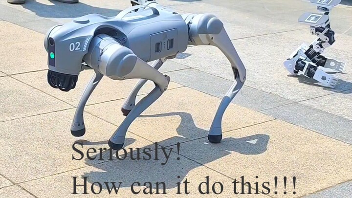 When the Electronic Information Engineering Dept. flexes 🤖 wheeled-quadruped robot is wild!