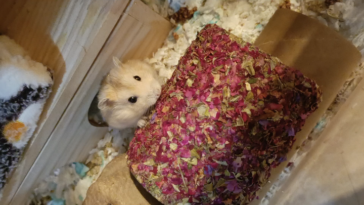 Baby, you’re a total mess.