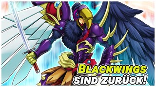 Die BLACKWINGS wurden GEBUFFT! Und endlich wieder META? || Yu-Gi-Oh Duel Links