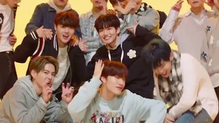 YG's new boy group—family fans say it's acceptable