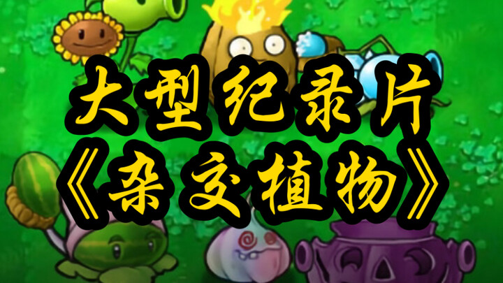 The epic documentary “The Legend of Submarine Weiwei” keeps rolling!