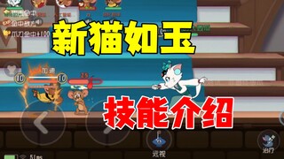 猫和老鼠手游：新猫如玉的介绍！