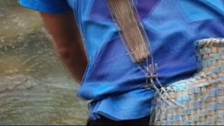 Cast Net Fishing in Nepal | Himalayan Trout Fishing in Nepal |