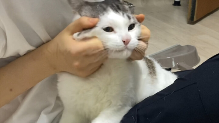 The sky’s vast, the earth’s wide—Mom’s the greatest!