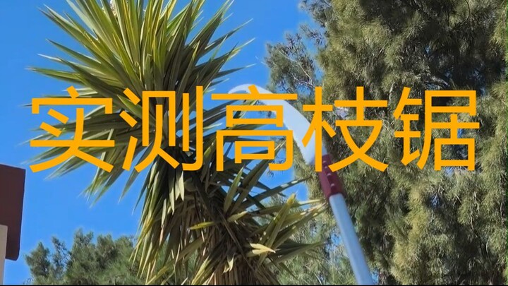 实测一款西班牙品牌的高枝锯 - PROBANDO UN SERRUCHO DE PÉRTIGA (MARCA ESPAÑOLA)