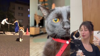 Mao Mao: Holding a sliver of hope—this is my turf.