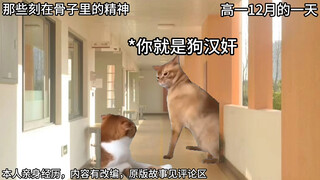 真实故事第三集：当我把青花瓷放成樱花瓷后，校长暴走了。。。