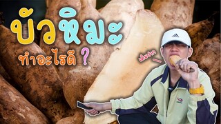 บัวหิมะ"ทำอไรดีครับ