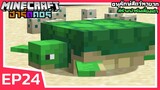 อนุรักษ์สัตว์หายาก สร้างฟาร์มเลี้ยงเต่า | Minecraft ฮาร์ดคอร์ 1.18 (EP24)