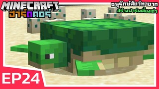 อนุรักษ์สัตว์หายาก สร้างฟาร์มเลี้ยงเต่า | Minecraft ฮาร์ดคอร์ 1.18 (EP24)