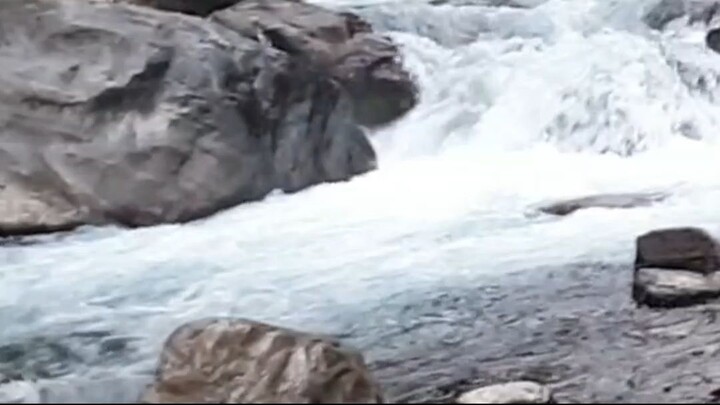 cast net fishing in Nepal | himalayan trout fishing |