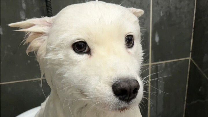 Terpaksa menahan amarah karena bergantung pada orang lain!