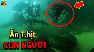 🔴Khóc Thét 7 Quái Nguy Hiểm Và Đáng Sợ Nhất Dưới Sông Đang Âm Thầm Rình Rập Con Người