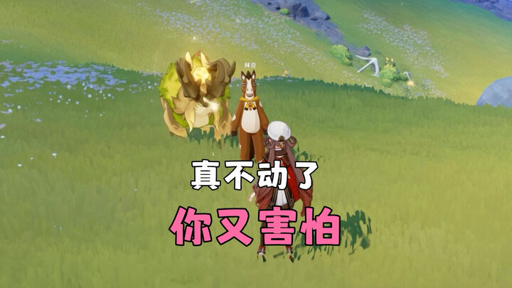 อย่าขยับ! ใครขยับก็แจกให้เลย!!