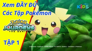 POKEMON JOURNEYS | Tập 1: Pikachu ra đời | tvBlue KIDS | Lồng Tiếng Việt