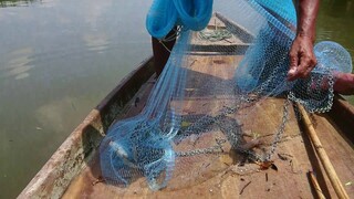 หากุ้งตกปลากระพง วิถีคนใต้ 【ติดปลากด】พาไปทอดแห แม่น้ำธรรมชาติ How To Throw a Cast Net