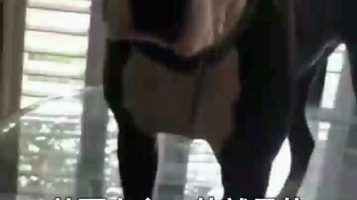 A Dog Raised by Cats